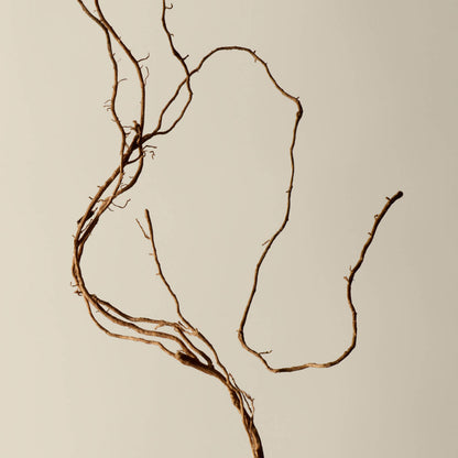 Aesop Deodorant Spray