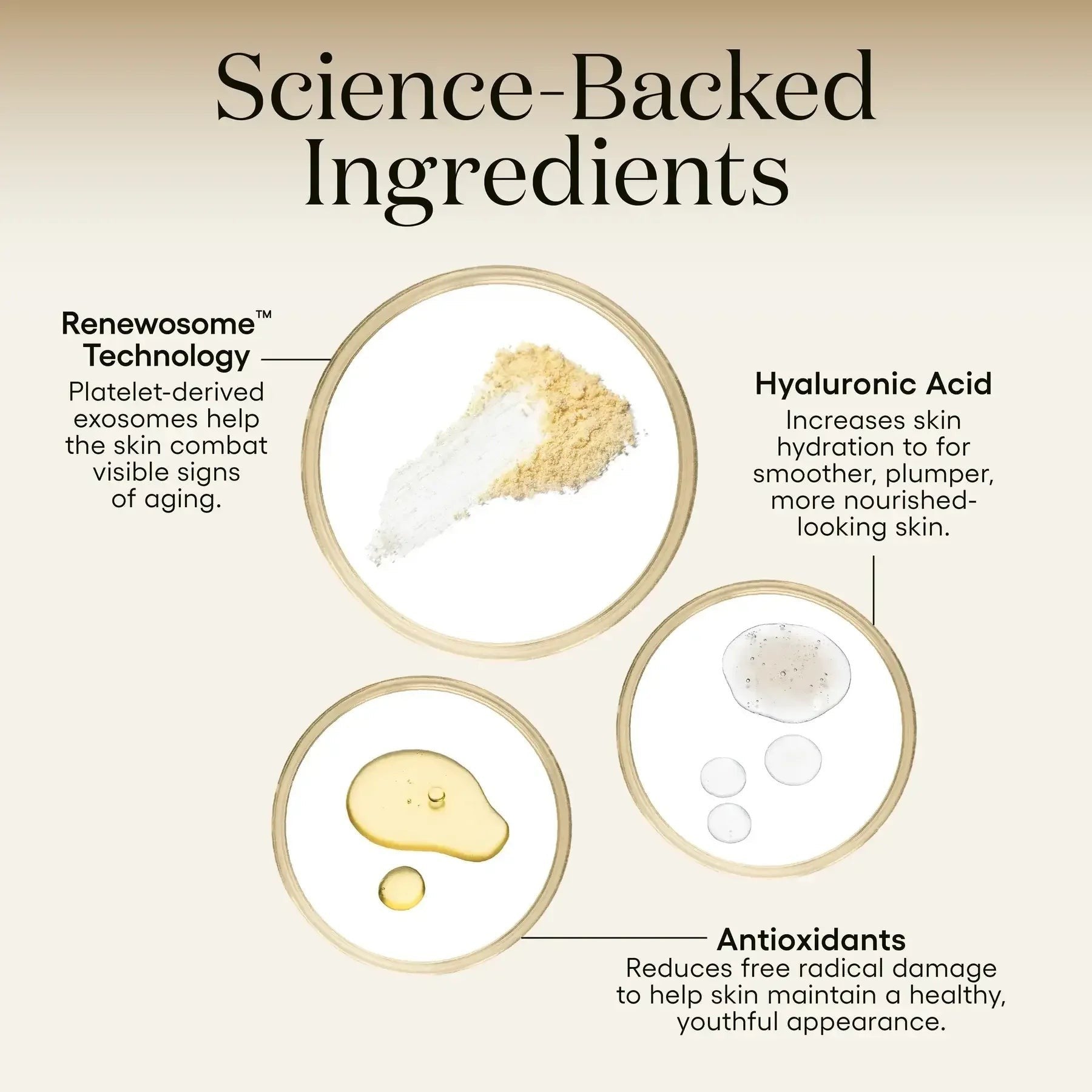 Plated Skin Science Intense Serum - DermLane